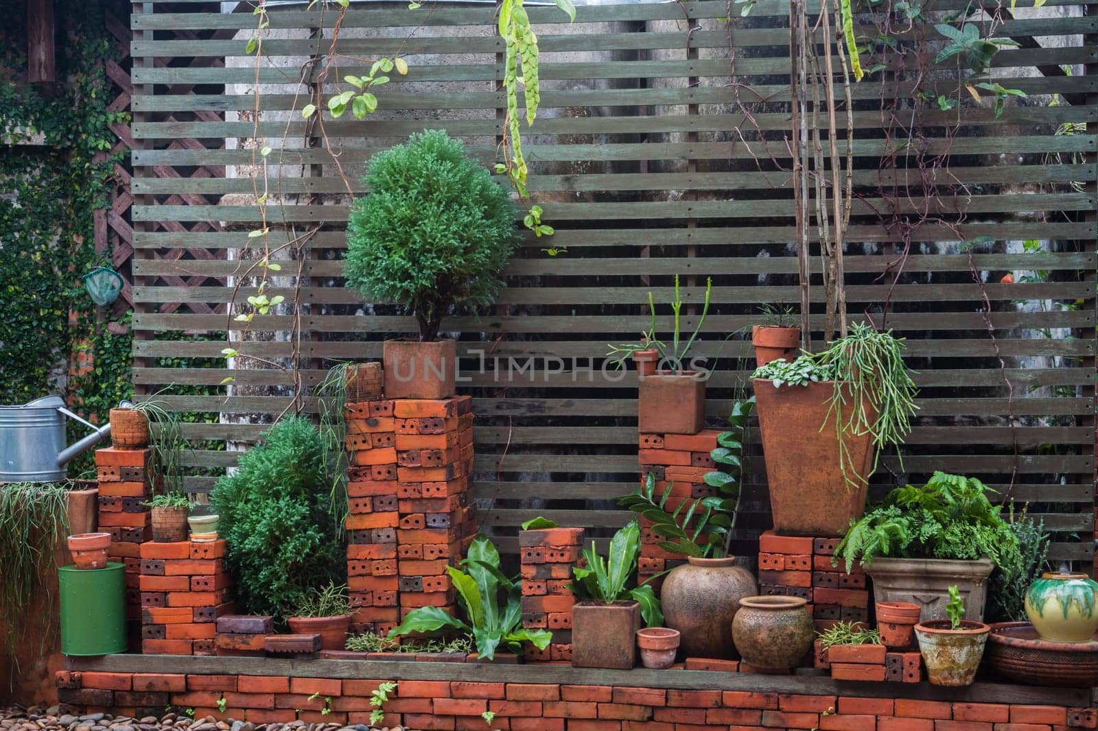 Backyard decorated with some tree and flower
