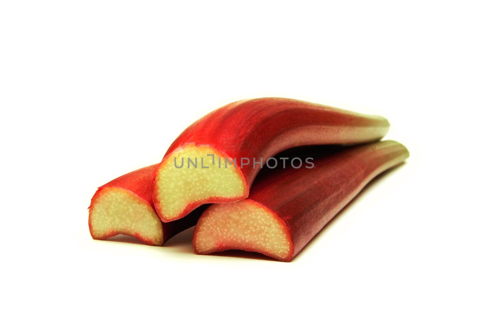 Rhubarb / pie plant (Rheum rhabarbarum)