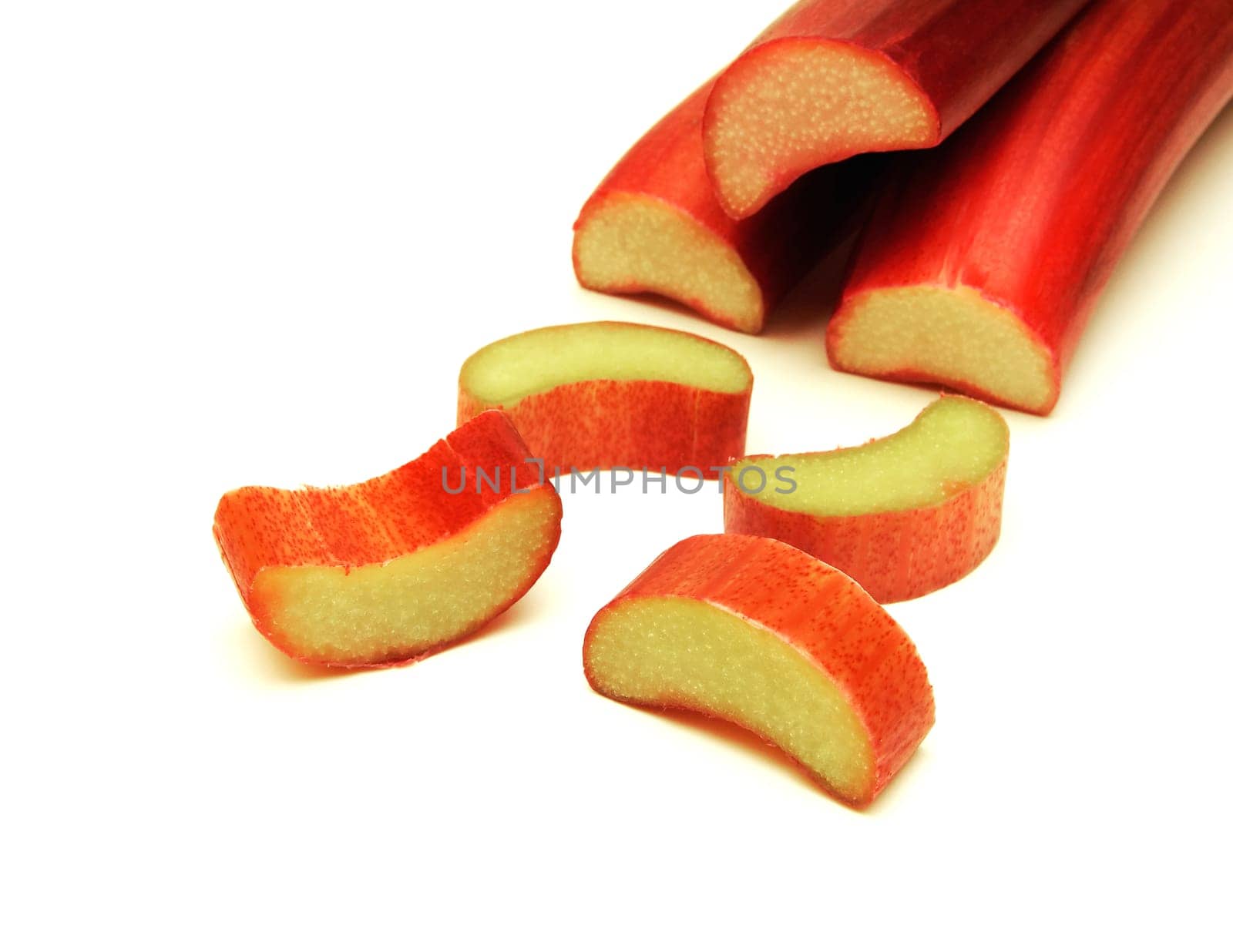 Rhubarb / pie plant (Rheum rhabarbarum)