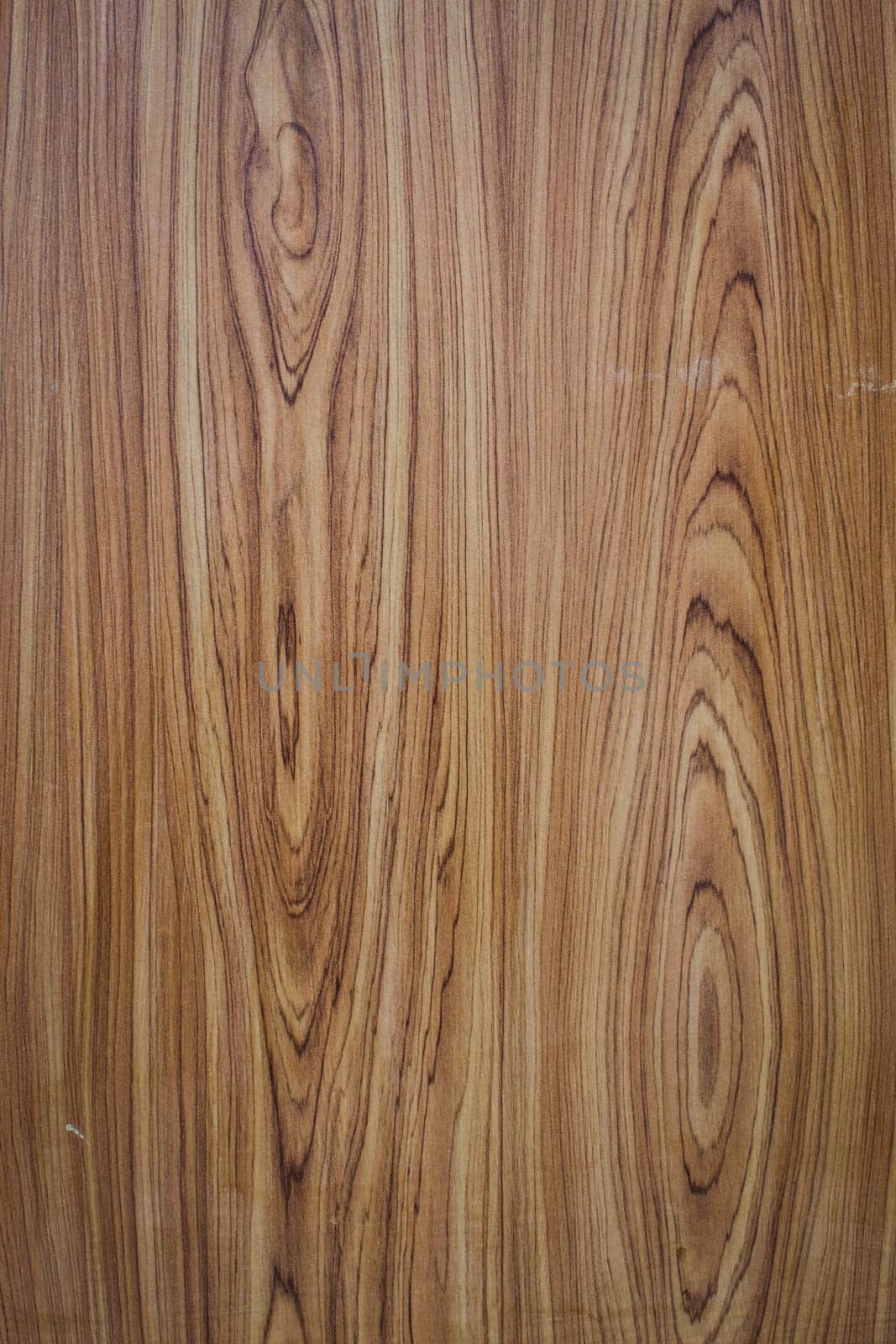 Old wood texture background with tree rings