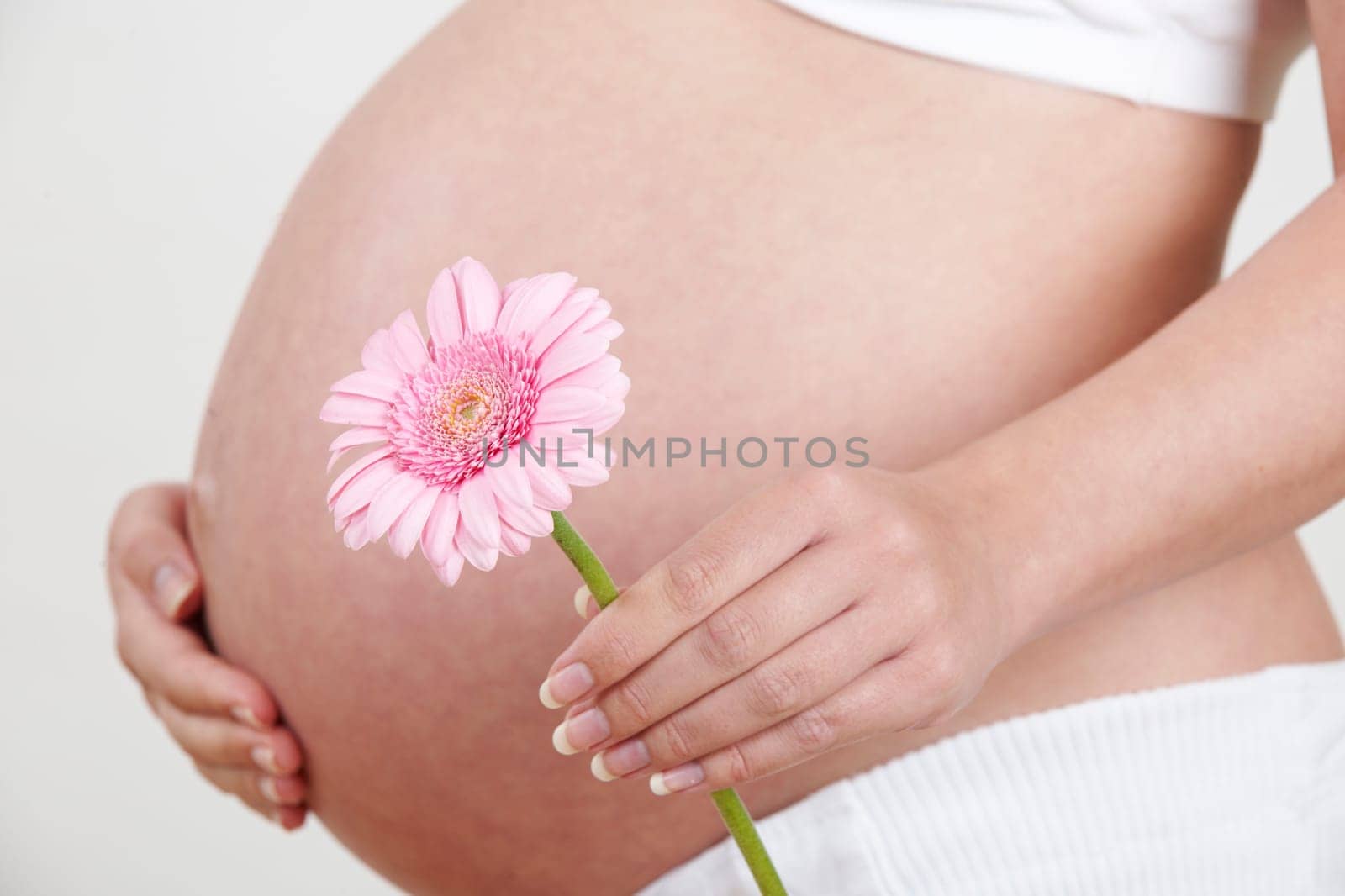 Close Up Of Pregnant Woman Holding Pink Flower