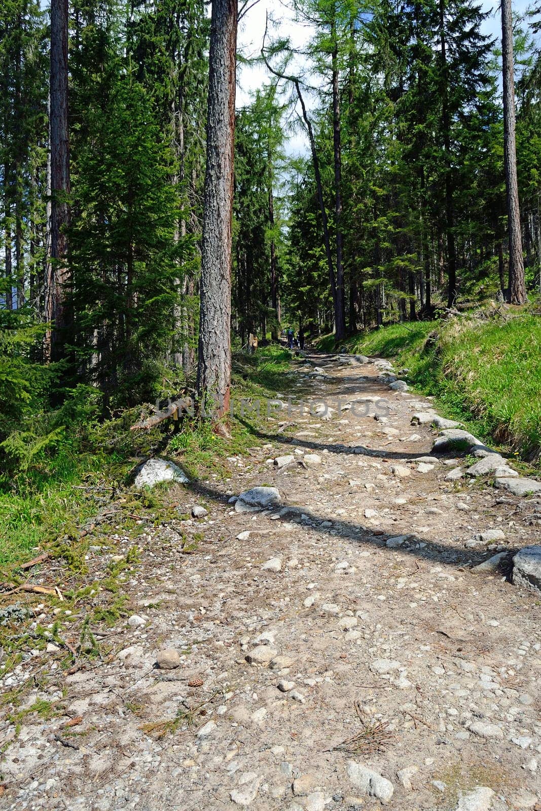 Tourist Path in High Tatra Mountains, Slovakia