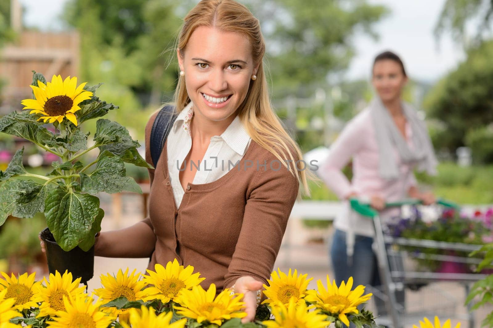 Smiling customer woman hold potted sunflower in garden center
