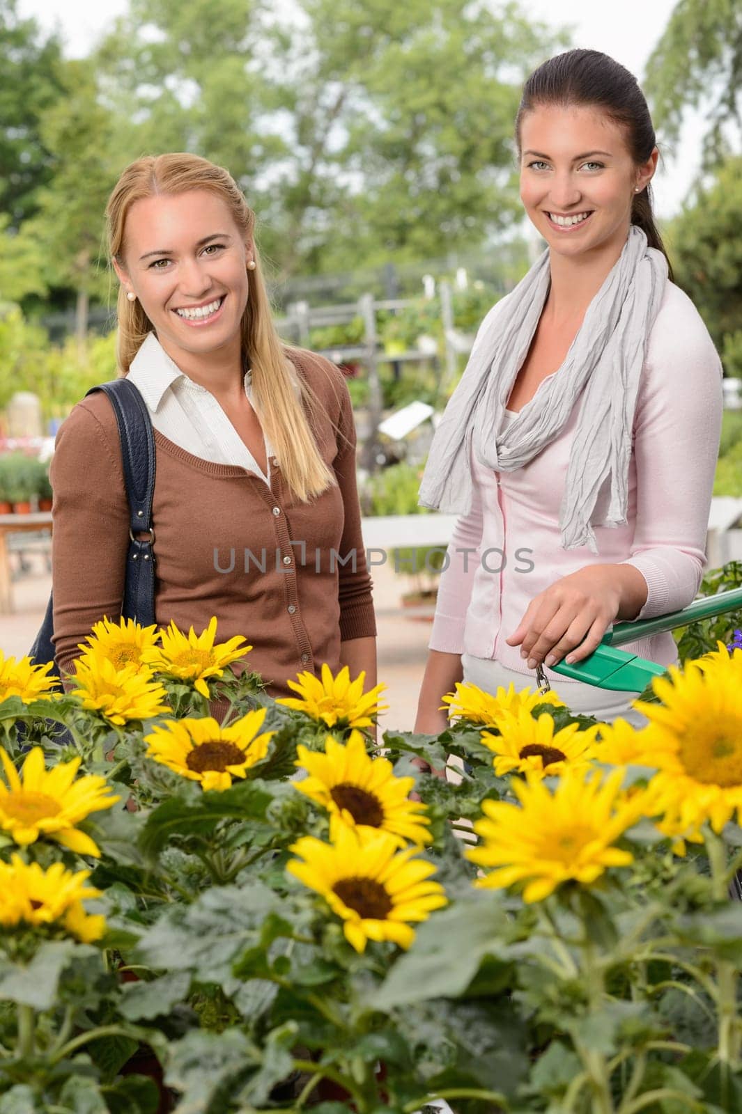 Two woman customer standing by sunflowers shopping in garden center