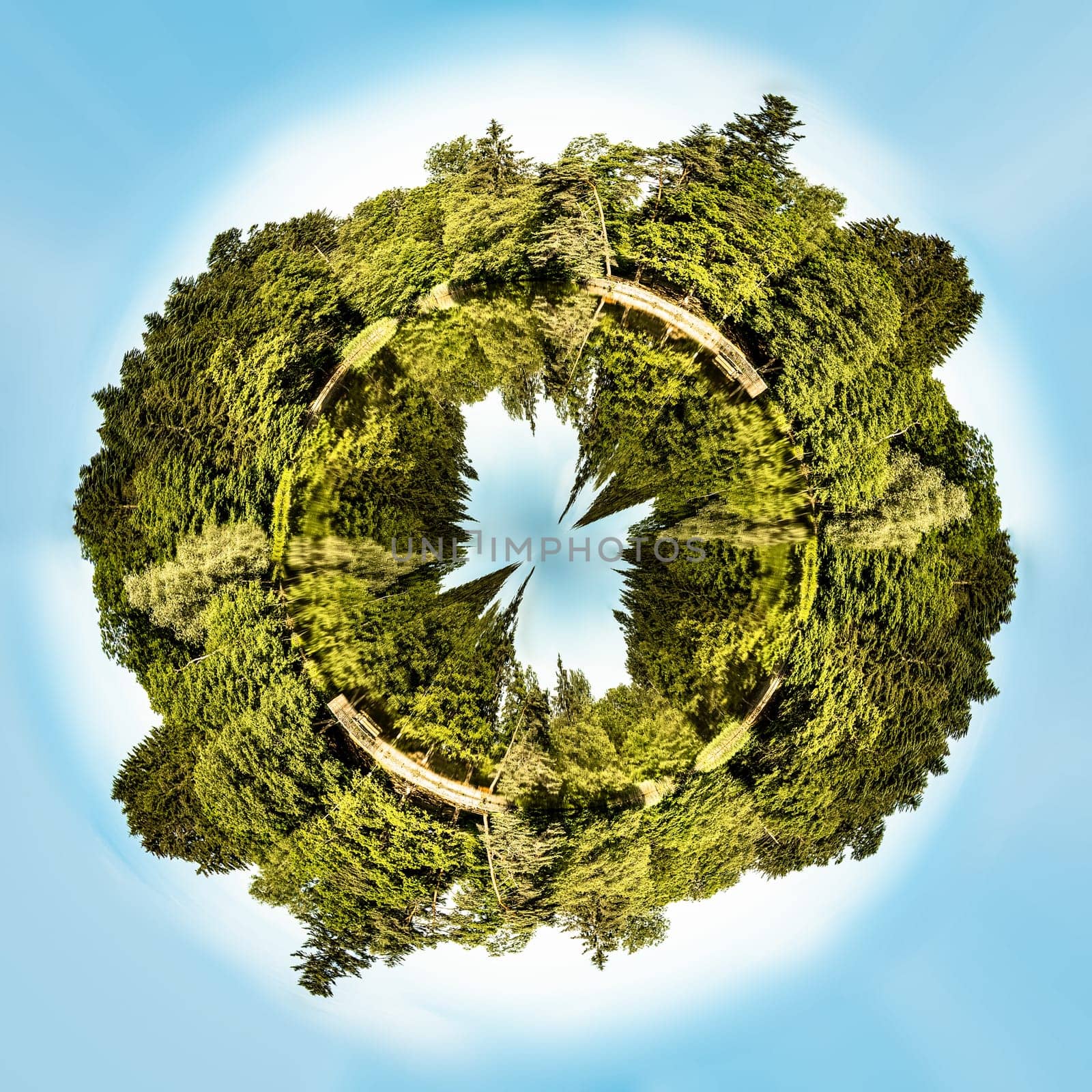Mini planet with green trees and blue lake
