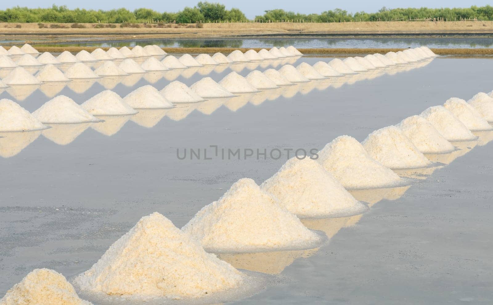 Heap of sea salt in evaporation pond, Thailand