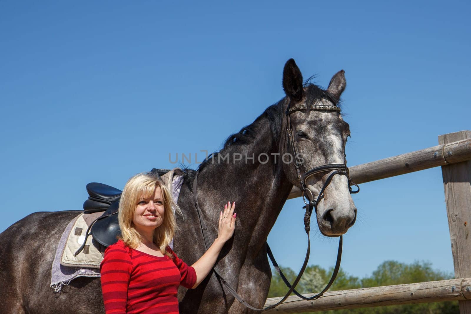 smiling woman with a saddled sports horse