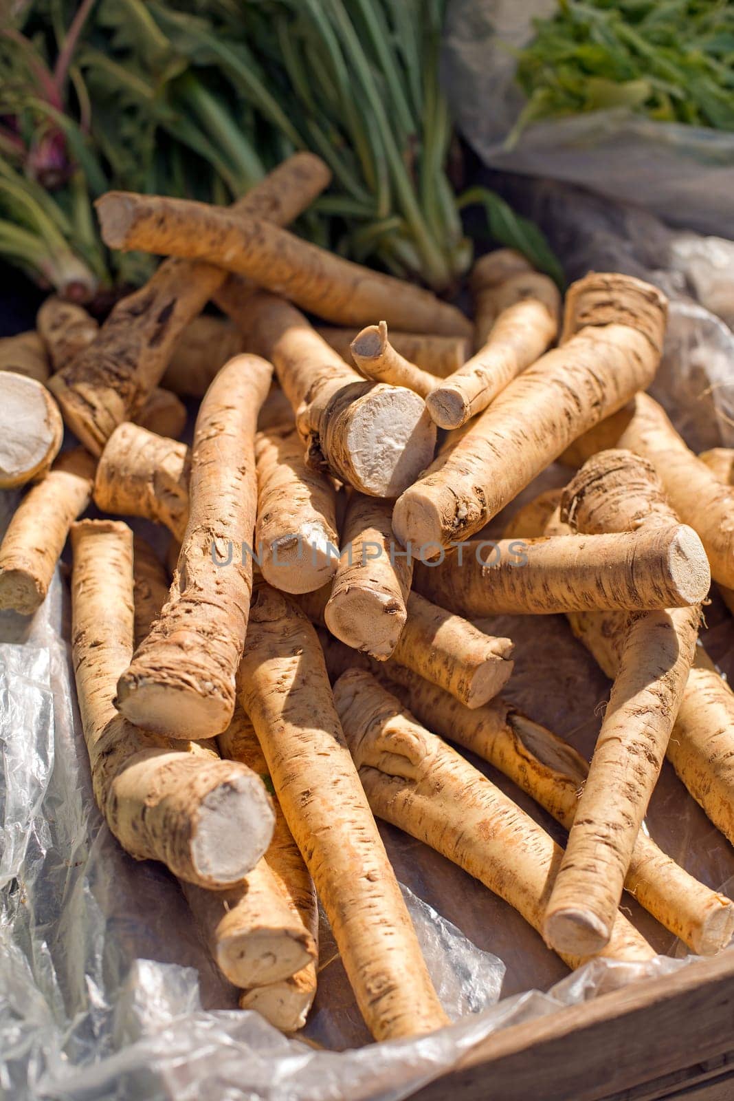 Fresh horseradish roots on a local market close up