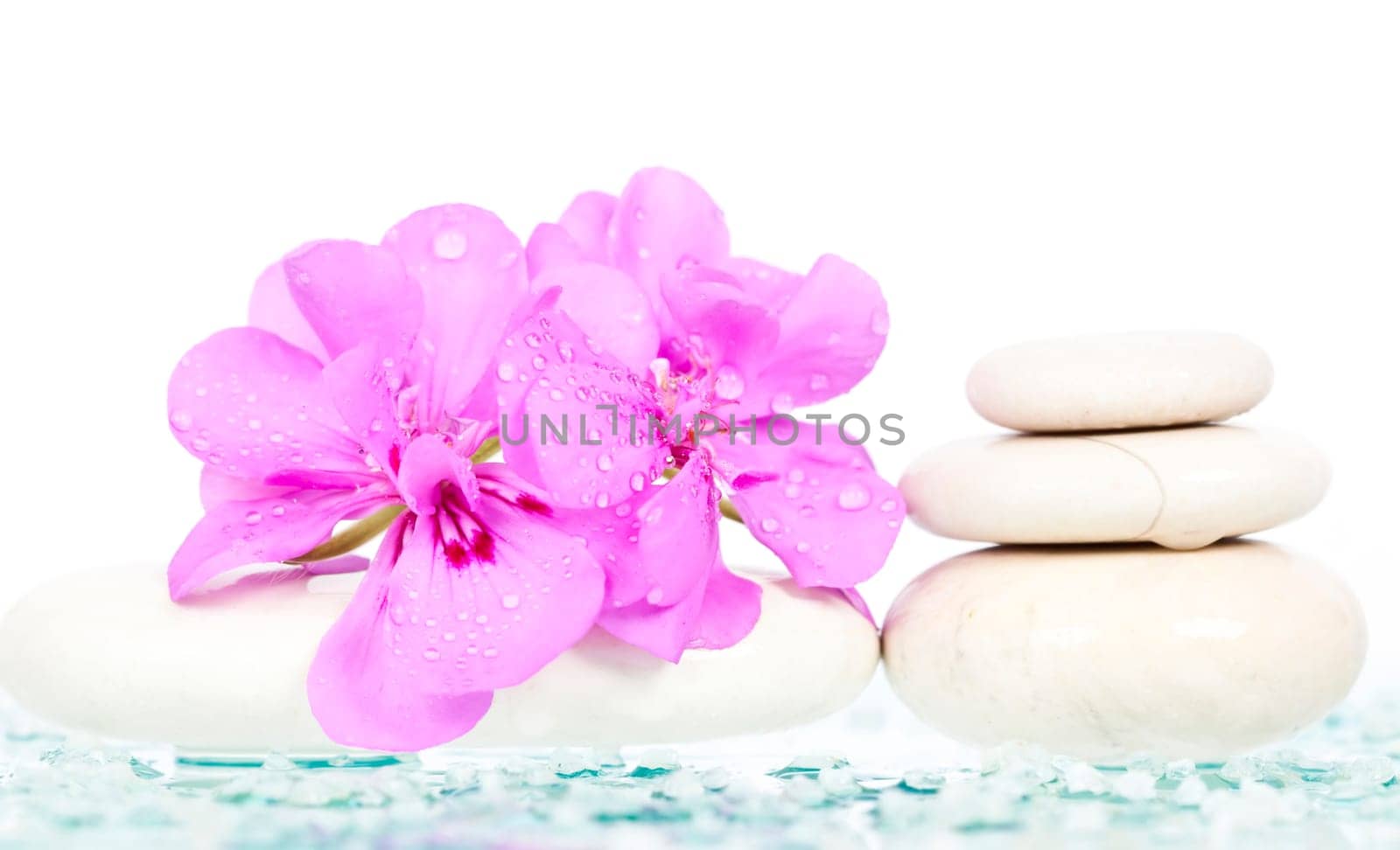 Spa stones and pink flower on white background