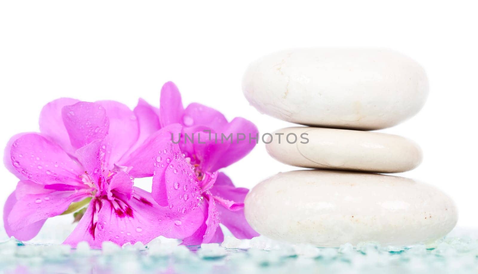 Spa stones and pink flower on white background