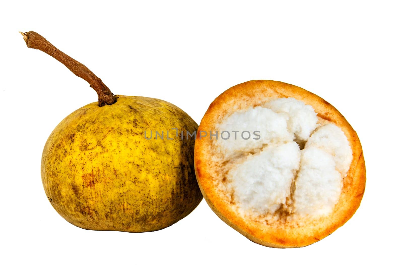 Santol fruit isolated on white background