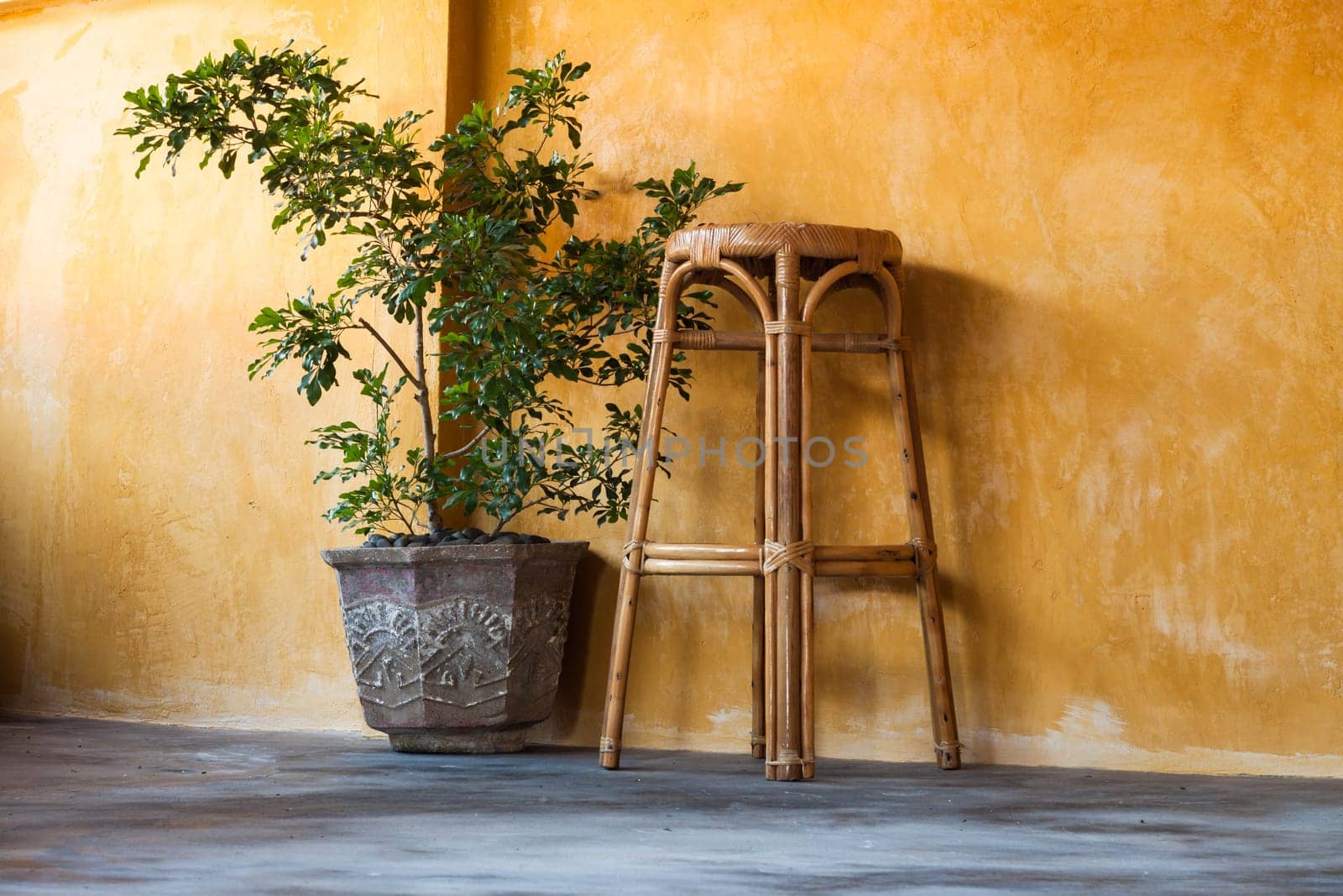 Simple interior design scene with rattan chair and  small tree on yellow wall
