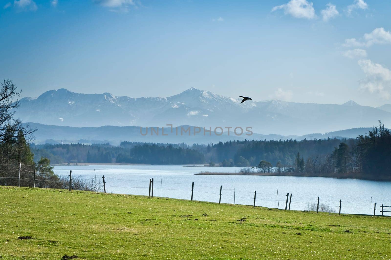 An image of a nice and typical bavarian landscape