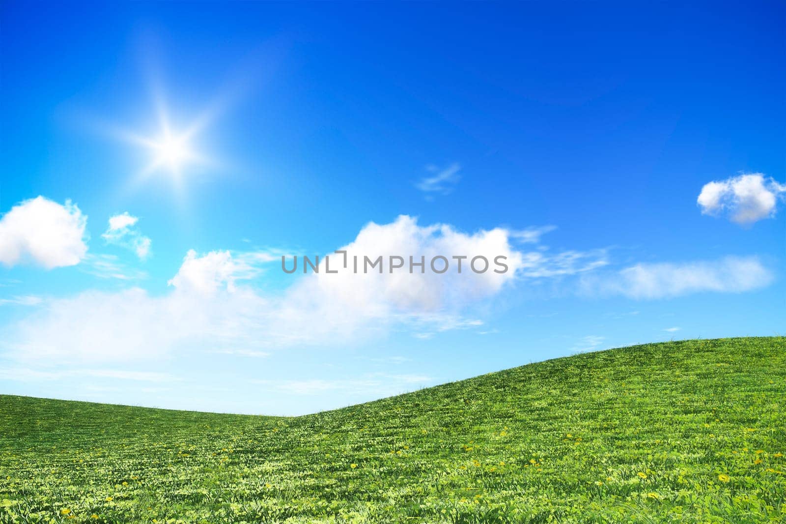 An image of a bright day nature background