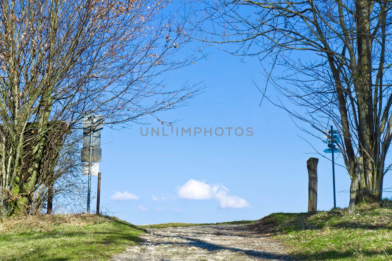 An image of a path to the blue sky