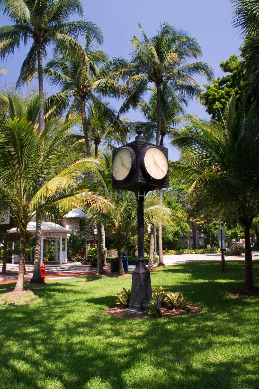clock,clock,parking meter,time,park,black,meadow,garden,Fort Lauderdale,Florida,USA,America,summer,relaxation,rest,rest