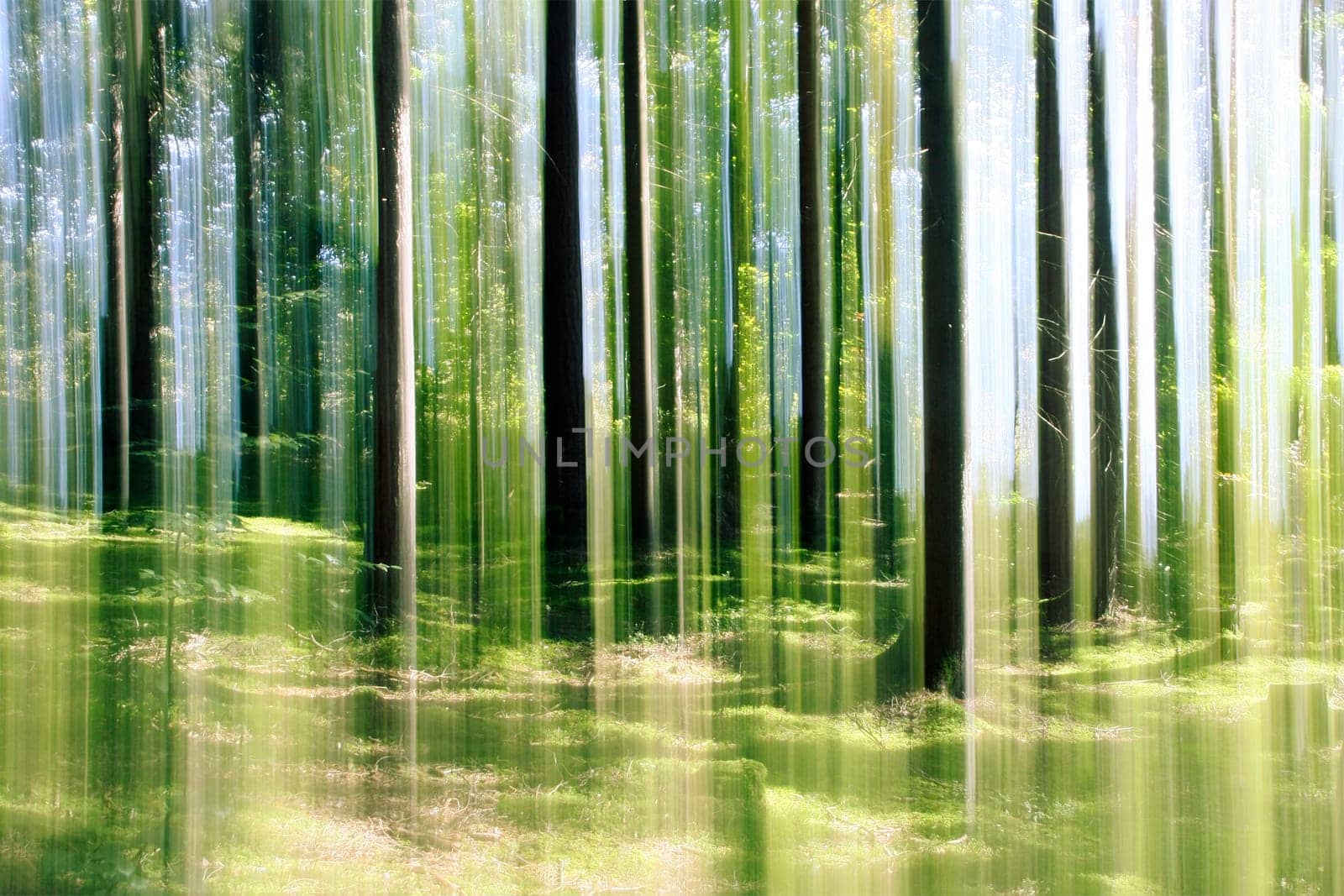 An image of a forest vertical motion blur background