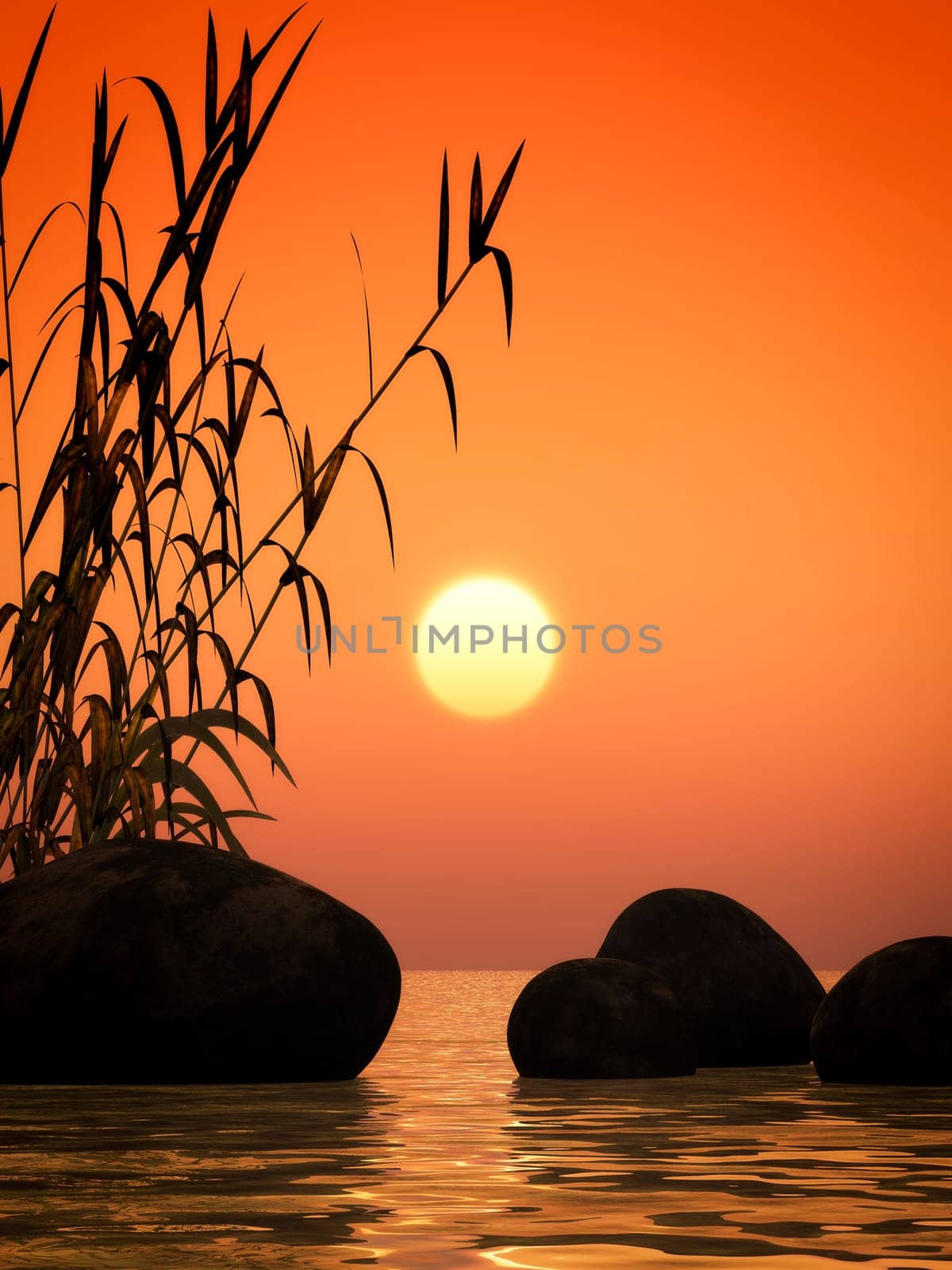 nice ocean sunset image with bamboo and stones
