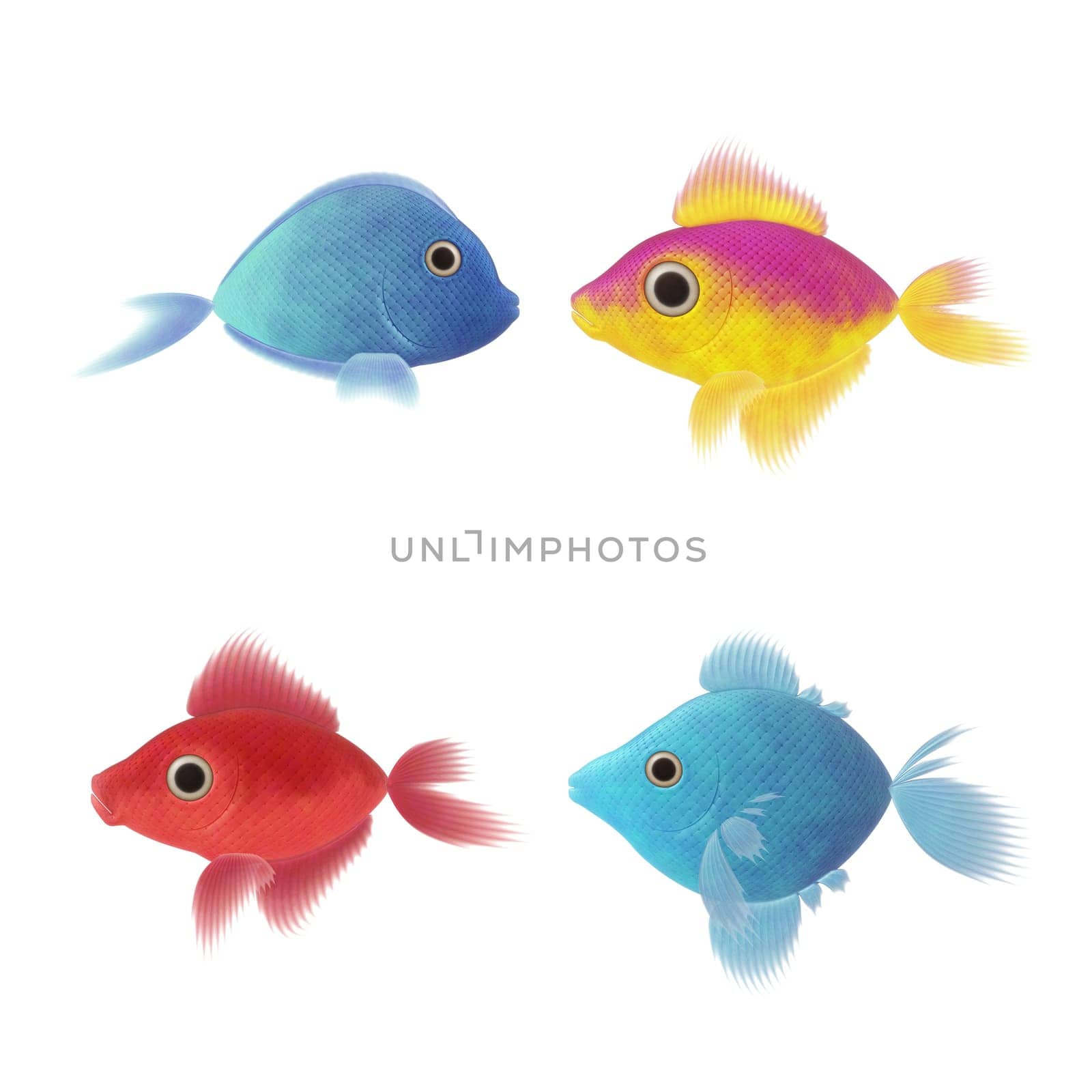 An image of four nice fish illustrations