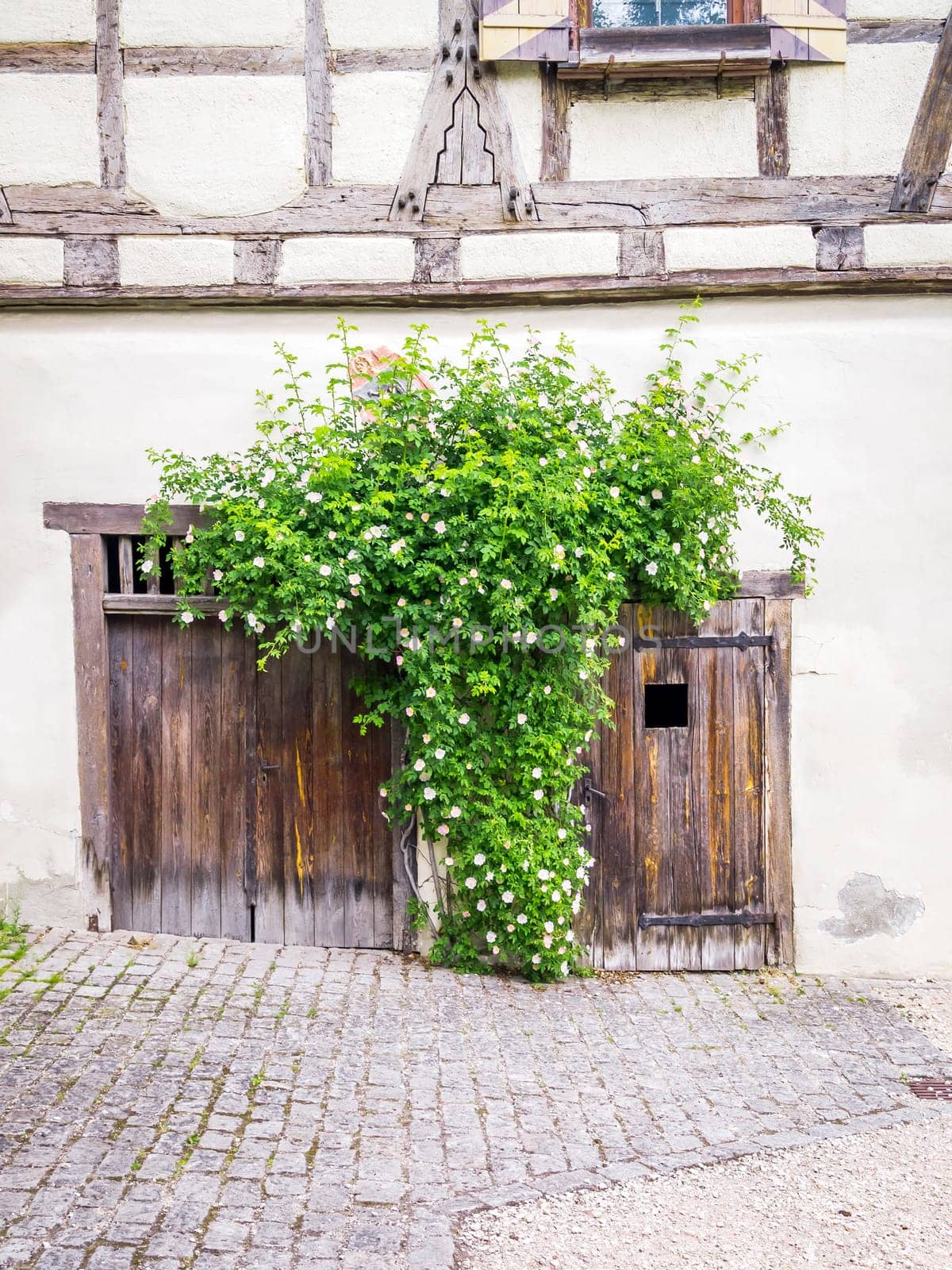 An image of some roses and the old wooden doors