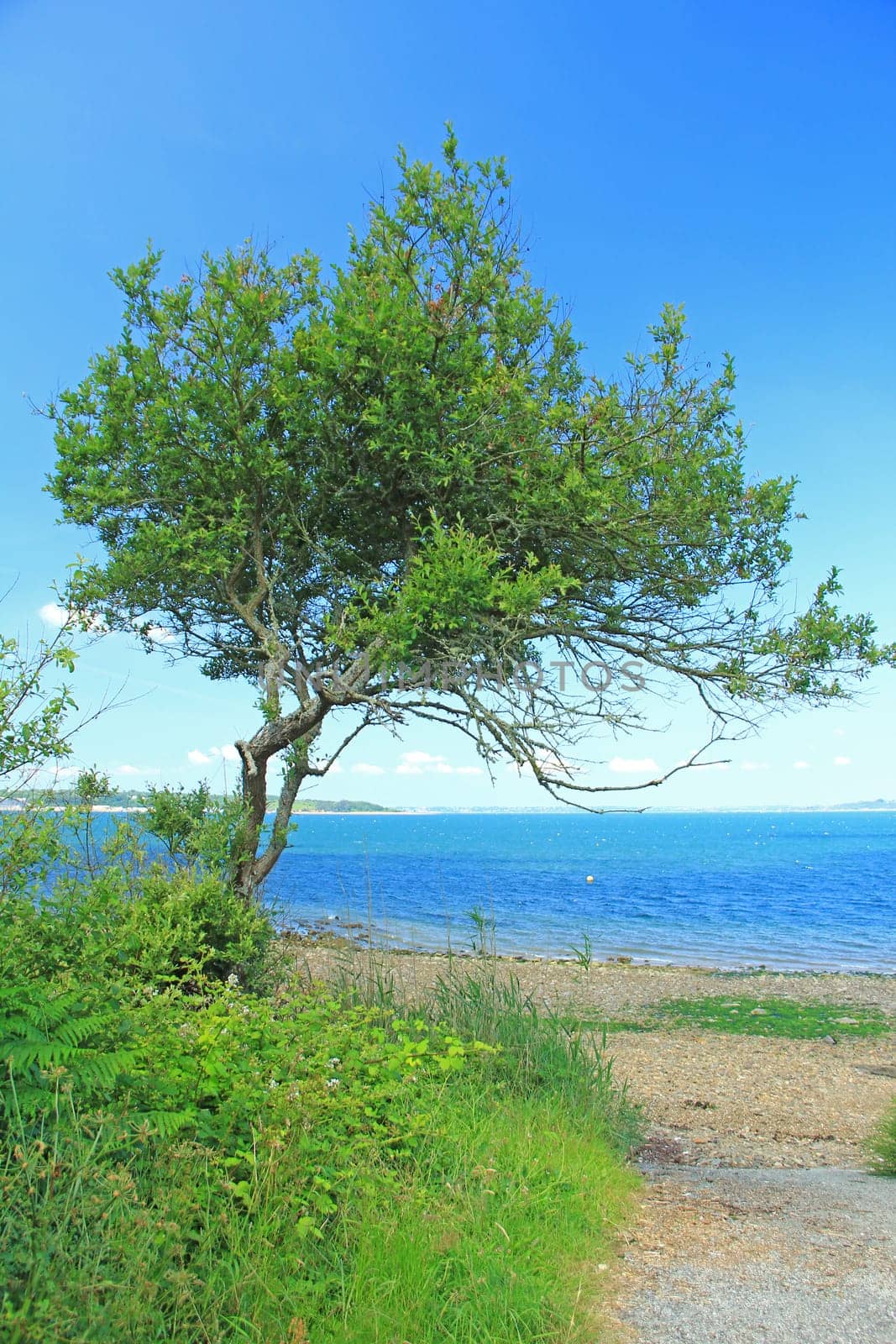 Stone beach near Quilien,Landévennec,Finistére,Brittany,France