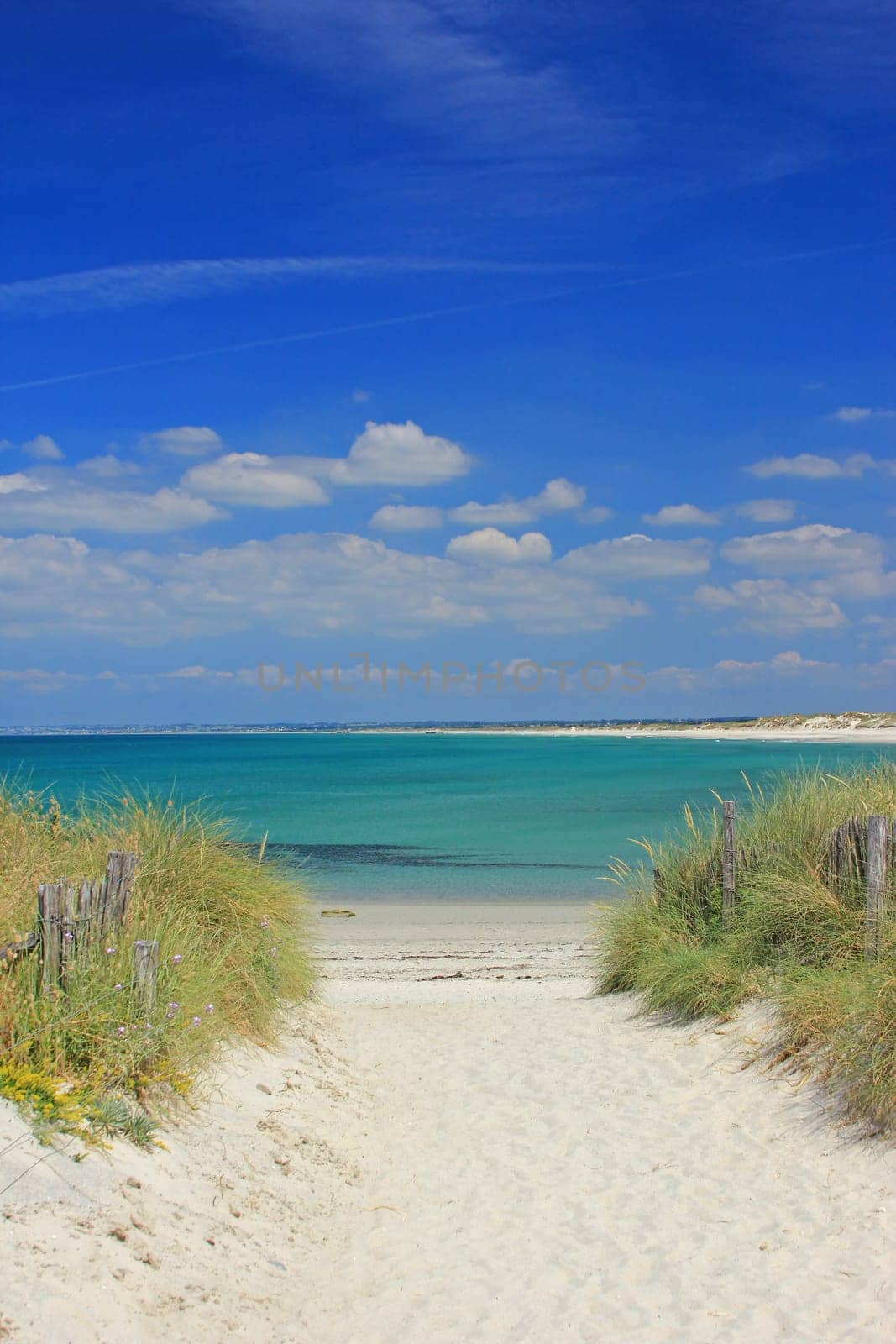 Sandy beach near Tronoen,Finistere,Brittany,portrait