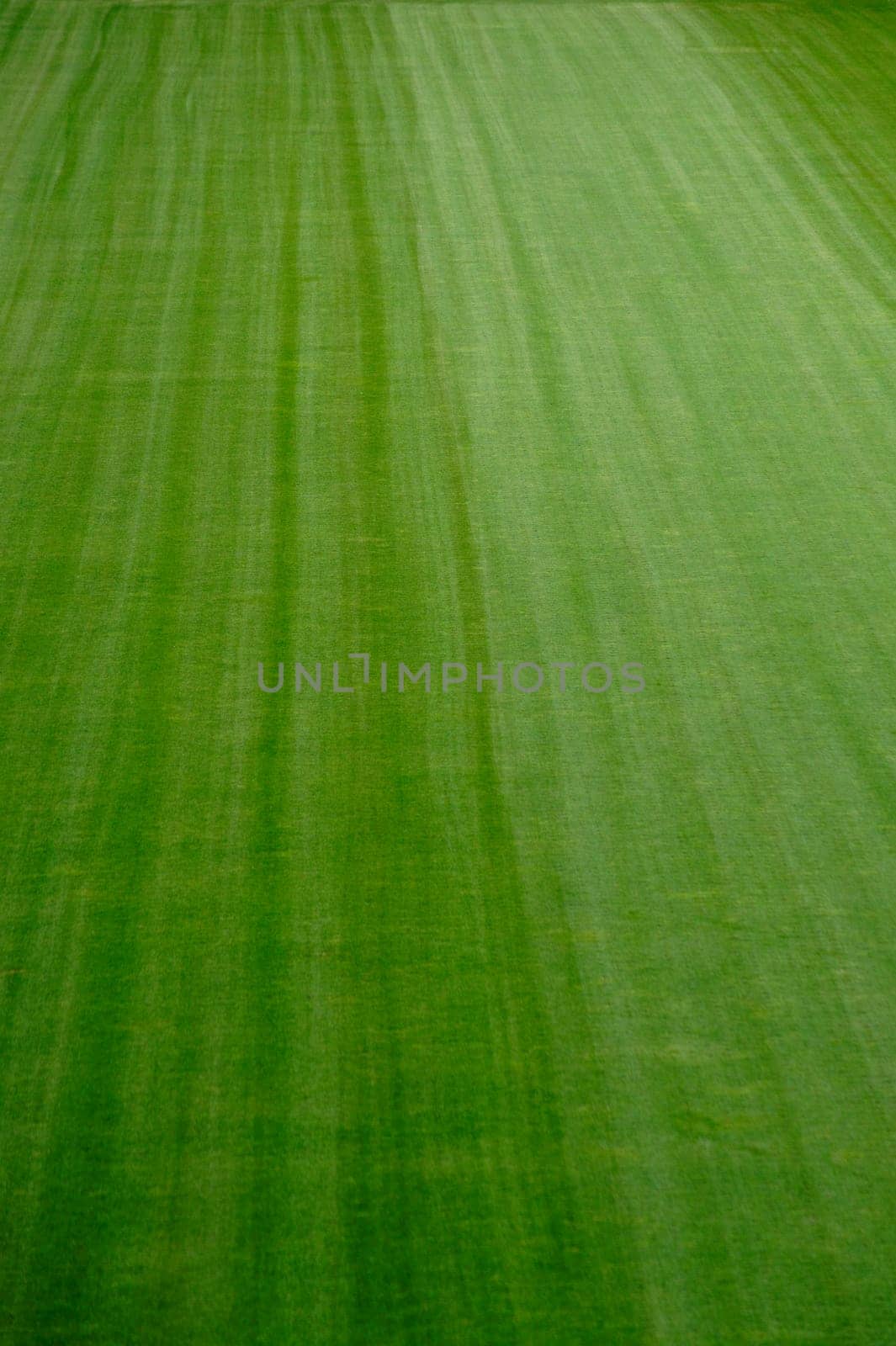 Photograph of the freshly mowed lawn of a football pitch.