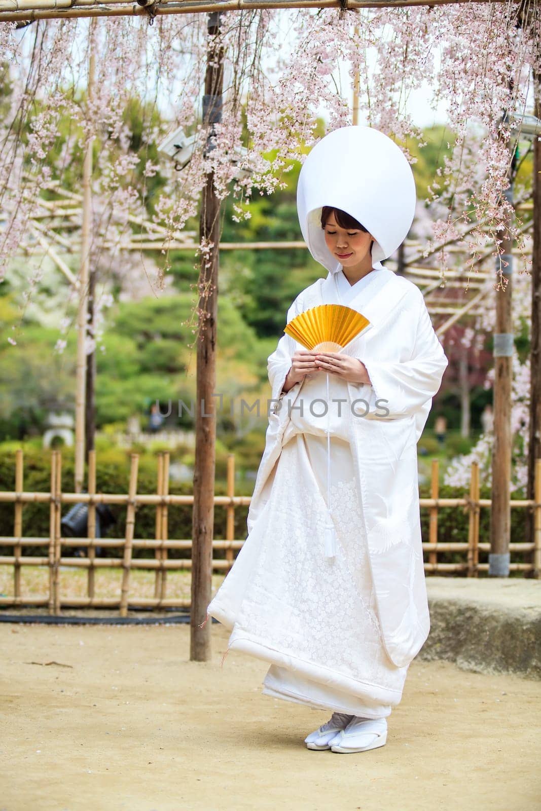 KYOTO, JAPAN-APRIL 12