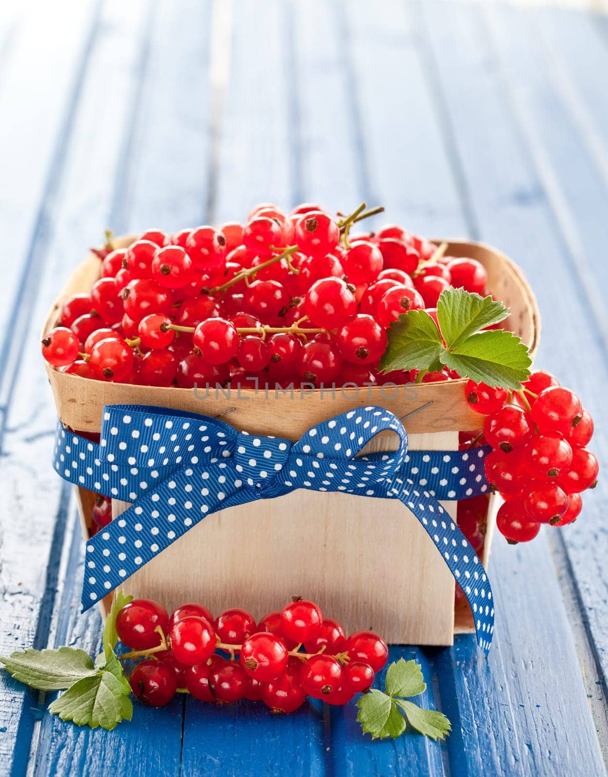 Small basket full of fresh red currants