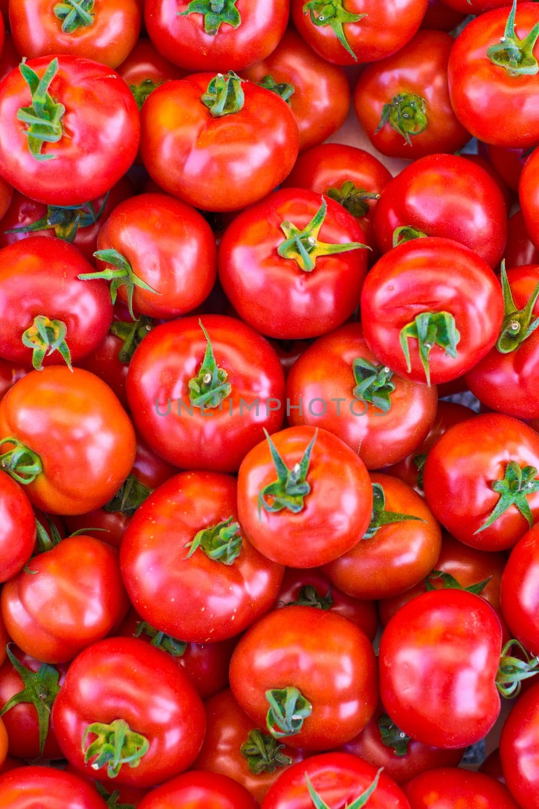 Mature red tomatoes as background
