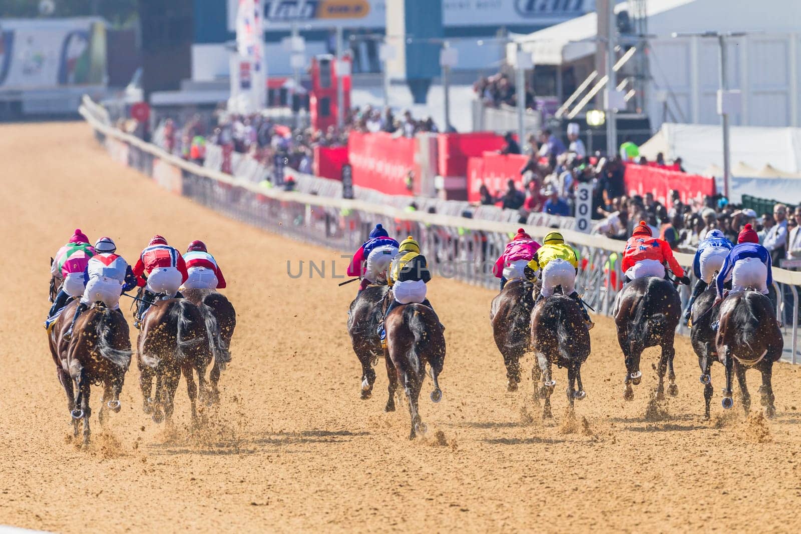 Horse racing closeup photo action of horses jockeys colors at Greyville racecouse sand and grass for Durban July vodacom cup.