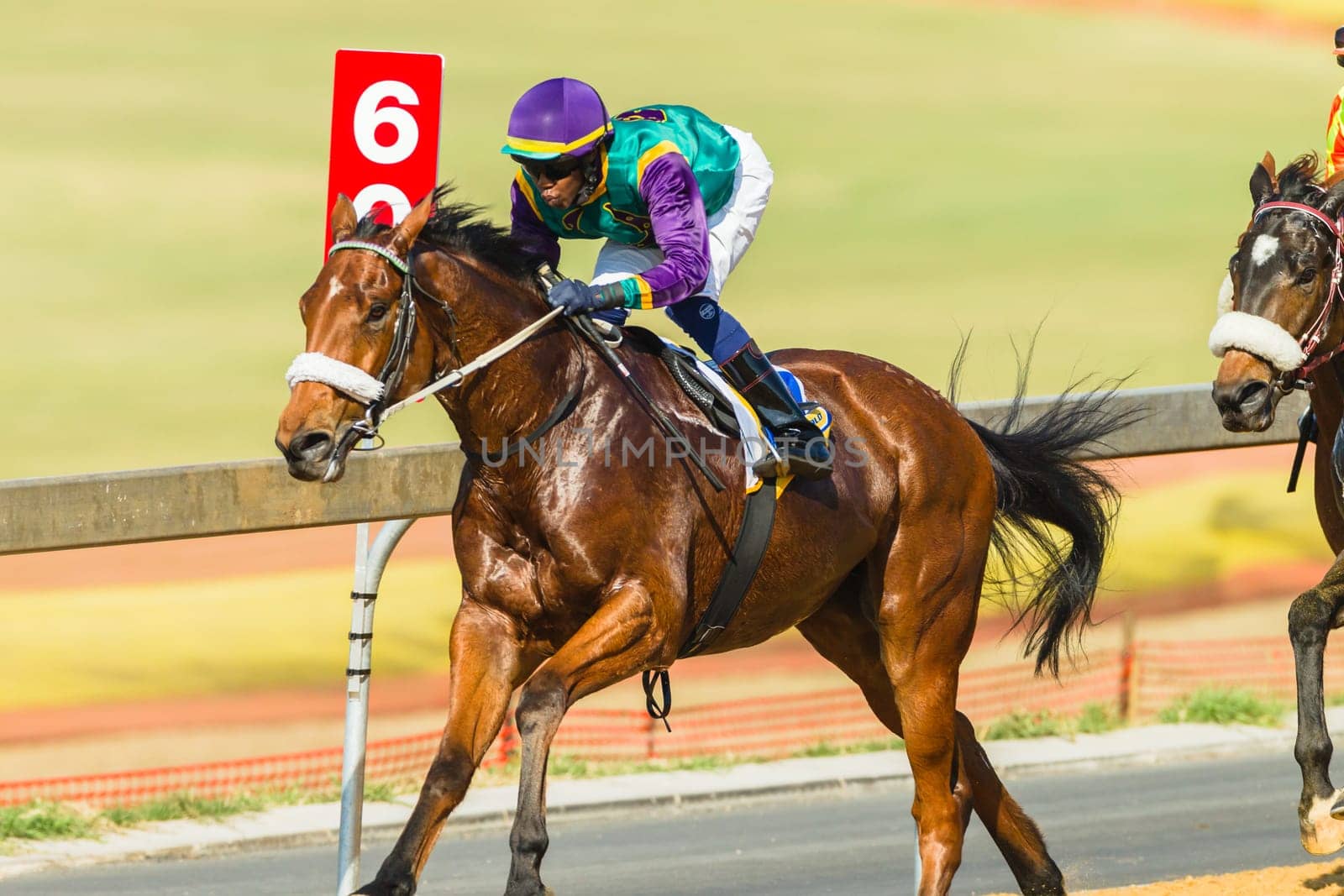 Horse racing closeup photo action of horses jockeys colors at Greyville racecouse sand and grass for Durban July vodacom cup.
