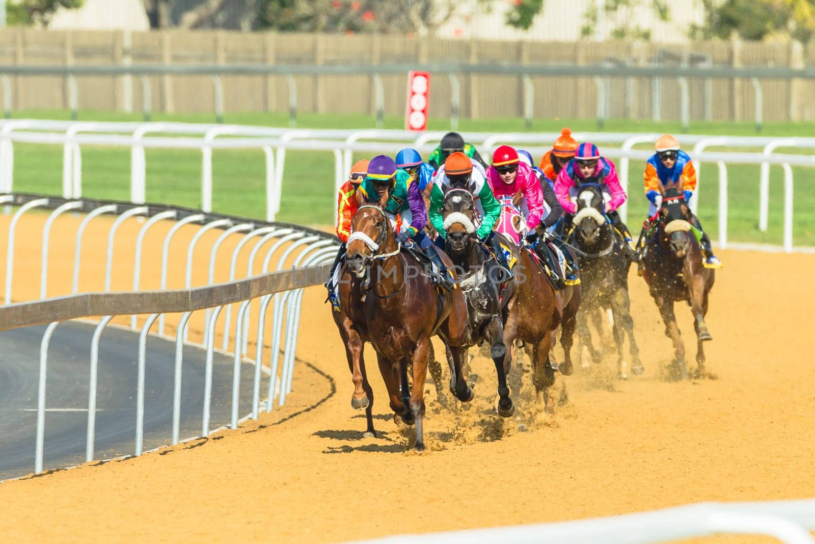 Horse racing closeup photo action of horses jockeys colors at Greyville racecouse sand and grass for Durban July vodacom cup.