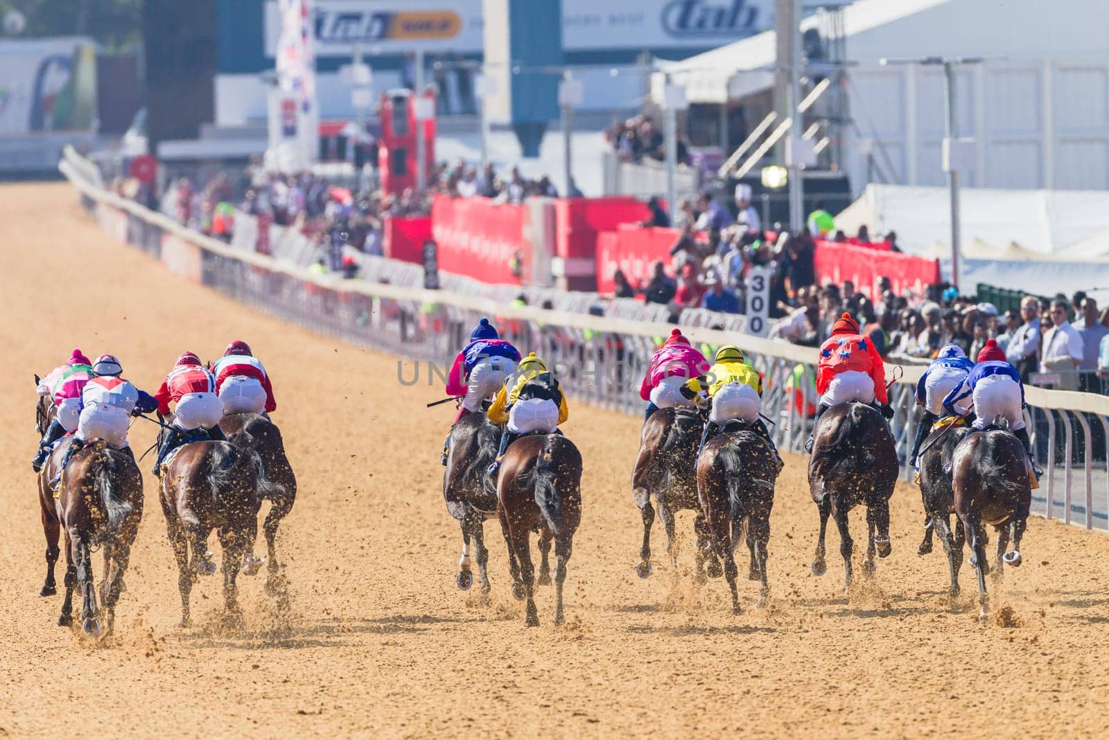 Horse racing closeup photo action of horses jockeys colors at Greyville racecouse sand and grass for Durban July vodacom cup.