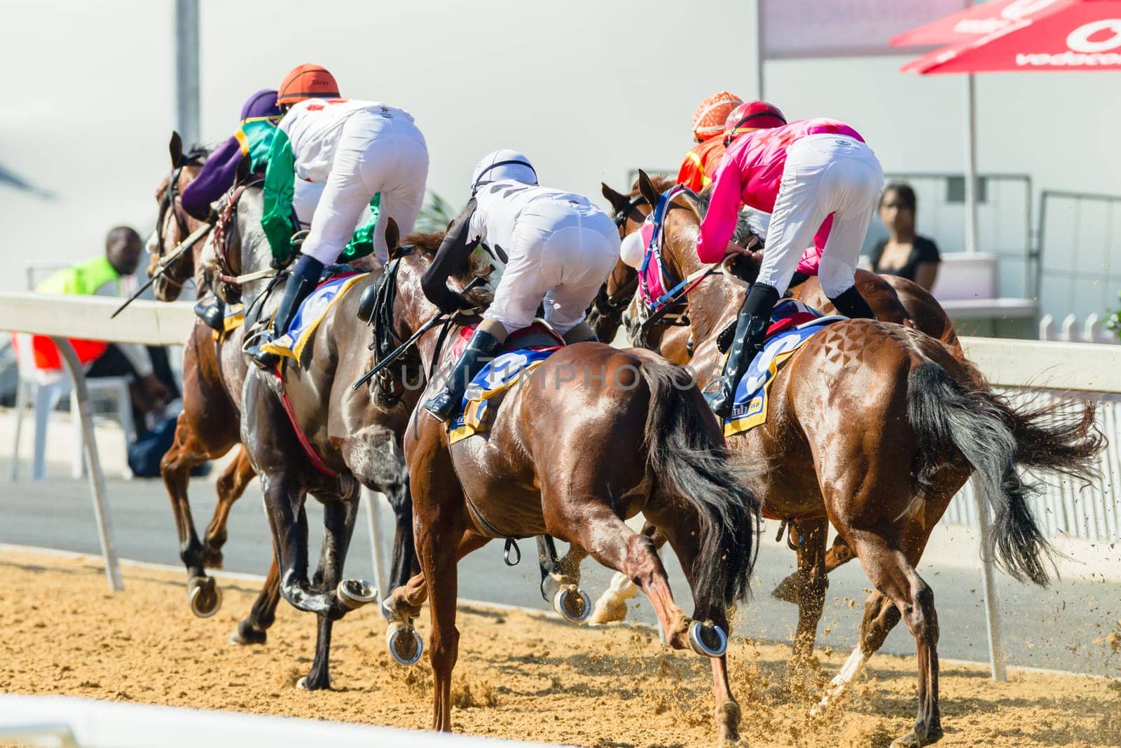 Horse racing closeup photo action of horses jockeys colors at Greyville racecouse sand and grass for Durban July vodacom cup.