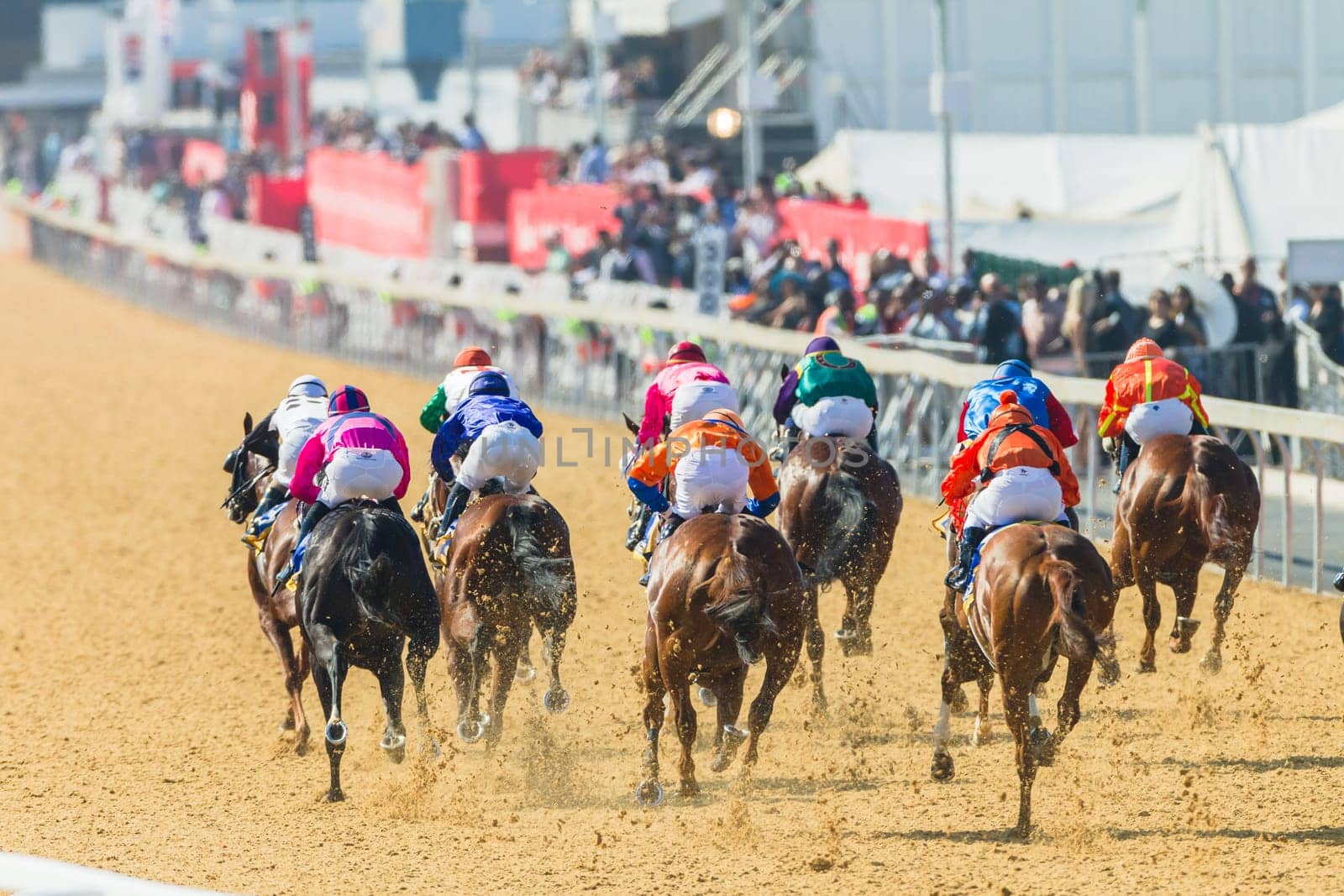 Horse racing closeup photo action of horses jockeys colors at Greyville racecouse sand and grass for Durban July vodacom cup.
