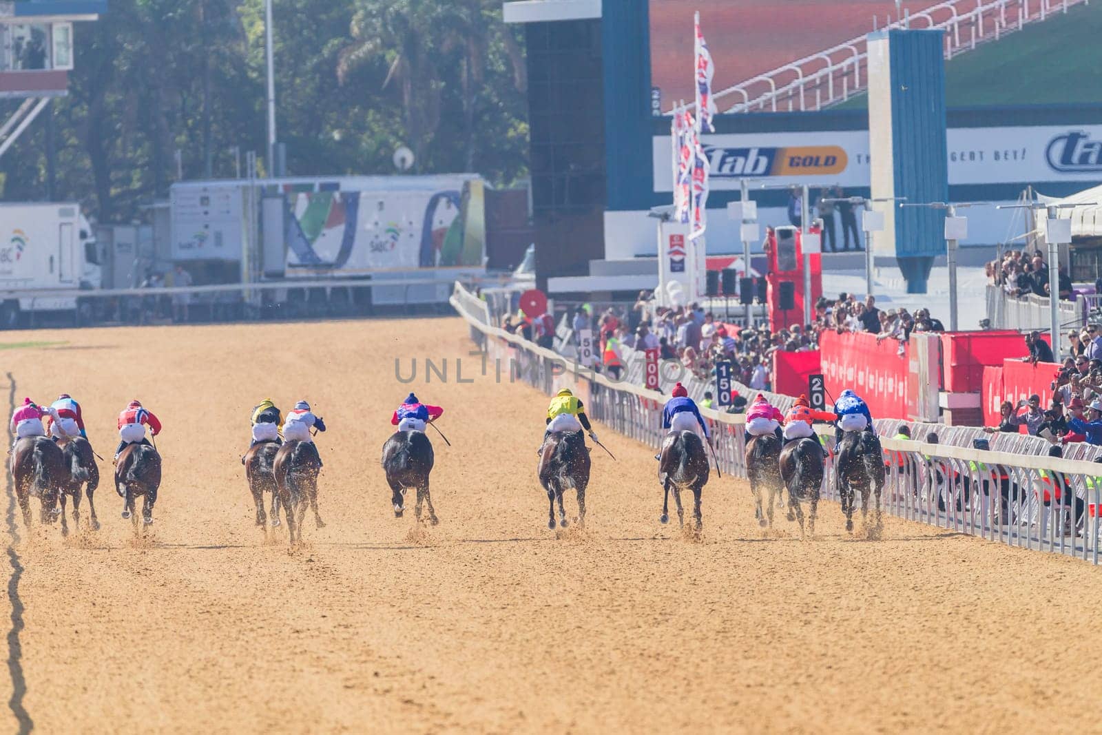 Horse racing closeup photo action of horses jockeys colors at Greyville racecouse sand and grass for Durban July vodacom cup.