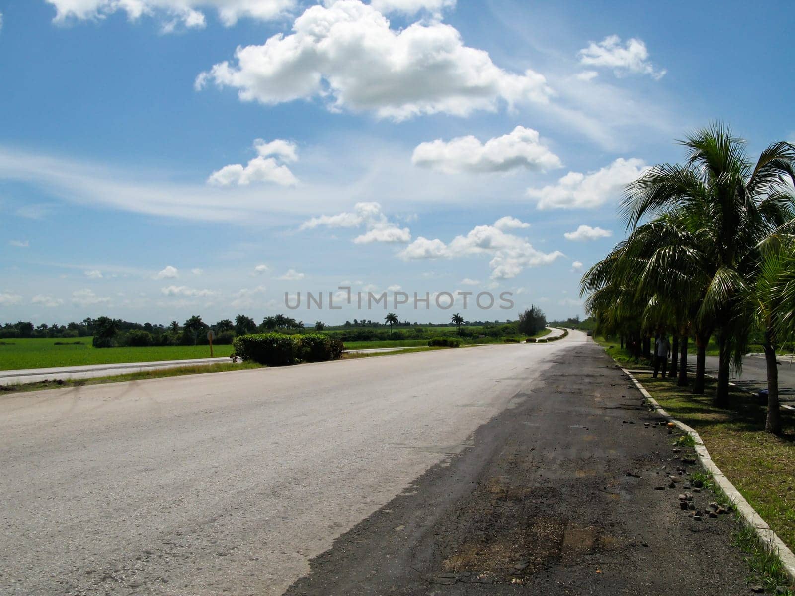 Abandoned asphalt road through the natural landscape of Cuba.