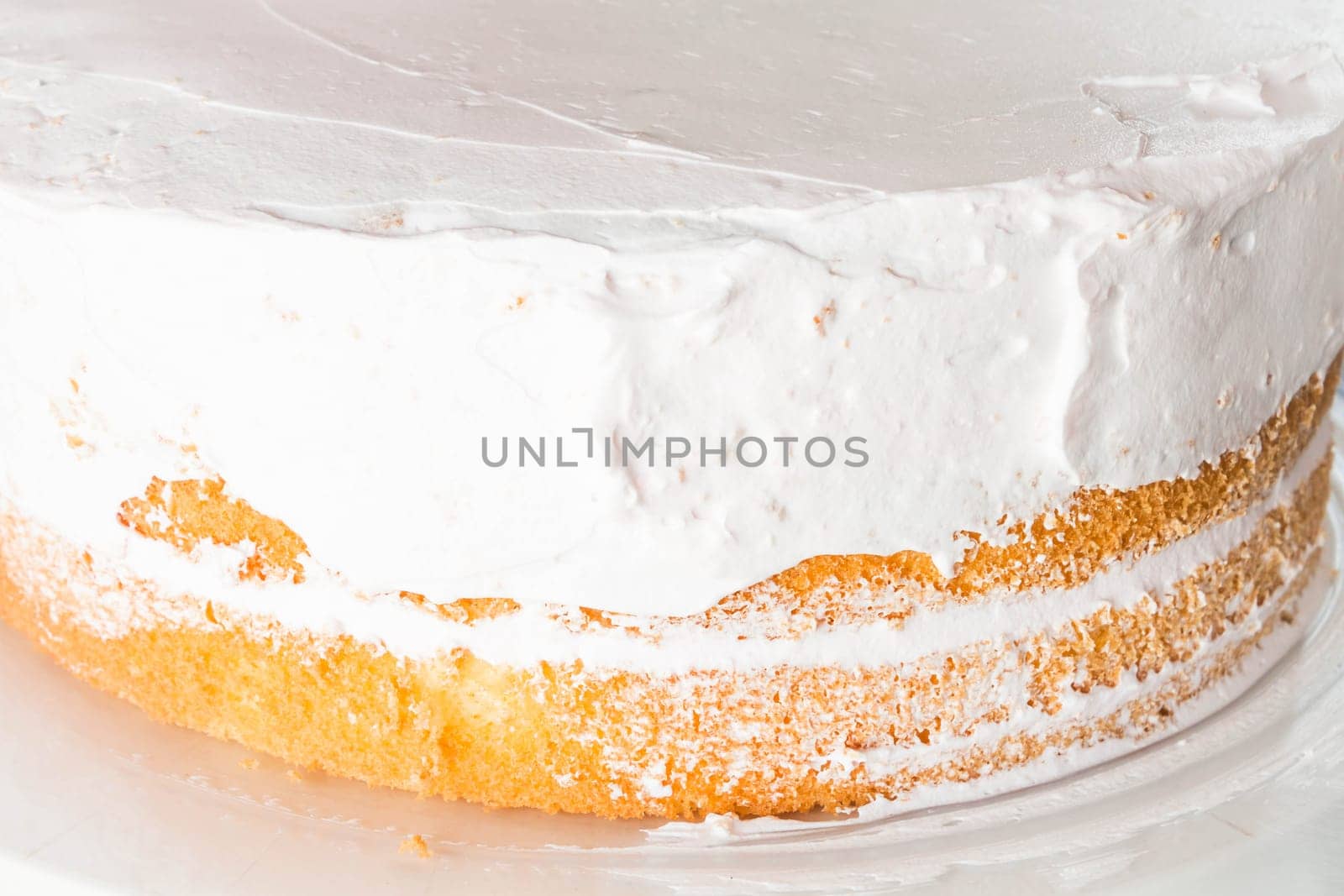 Vanilla sponge cake decorate with whipped cream