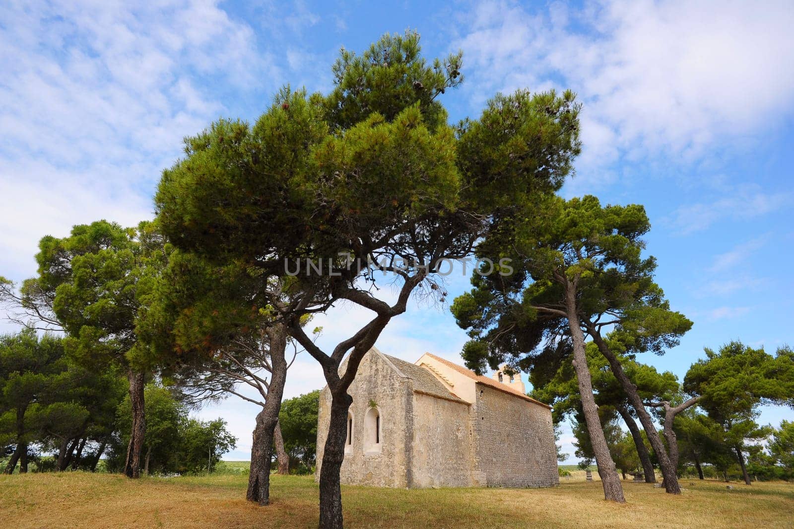 Old church in the pine forest