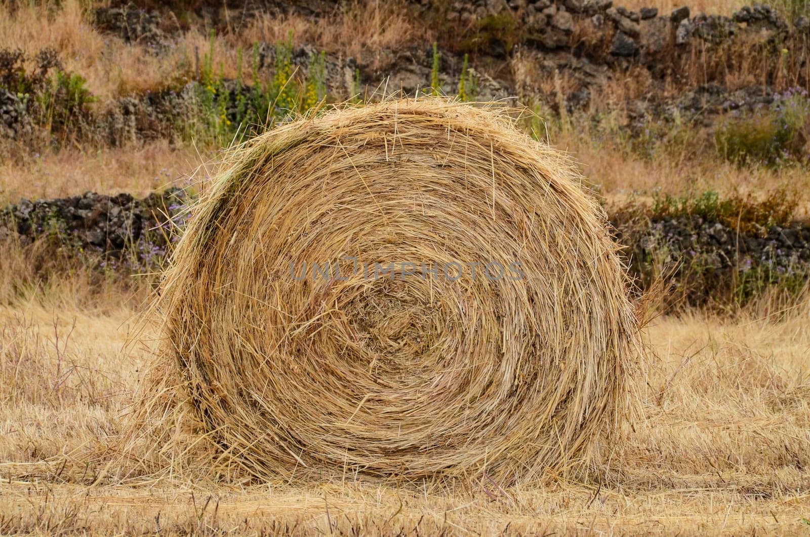 Hay Bale In The Foreground Of Rural Field