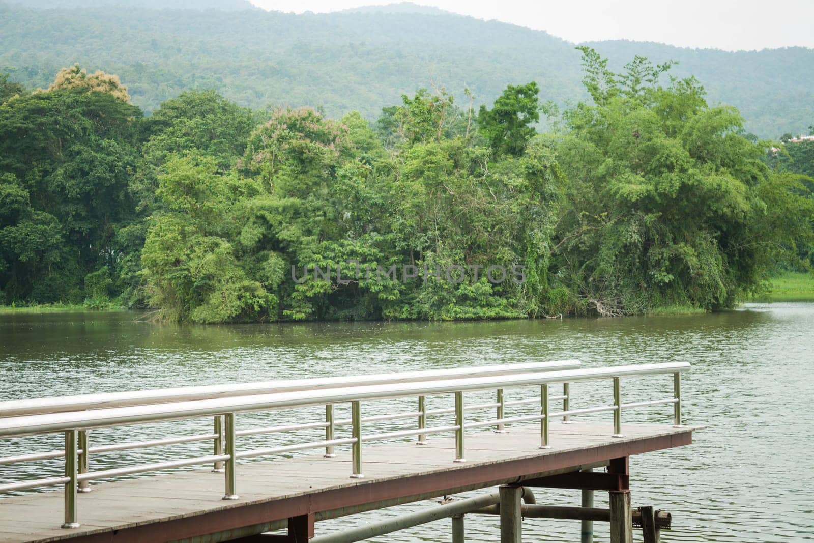 Metal bridge into the pond, stock photo