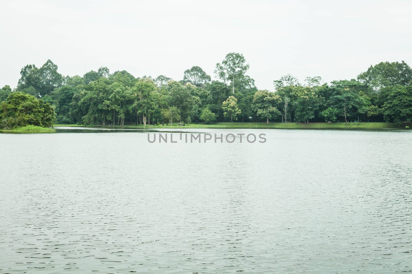Non pollution area in the park, stock photo