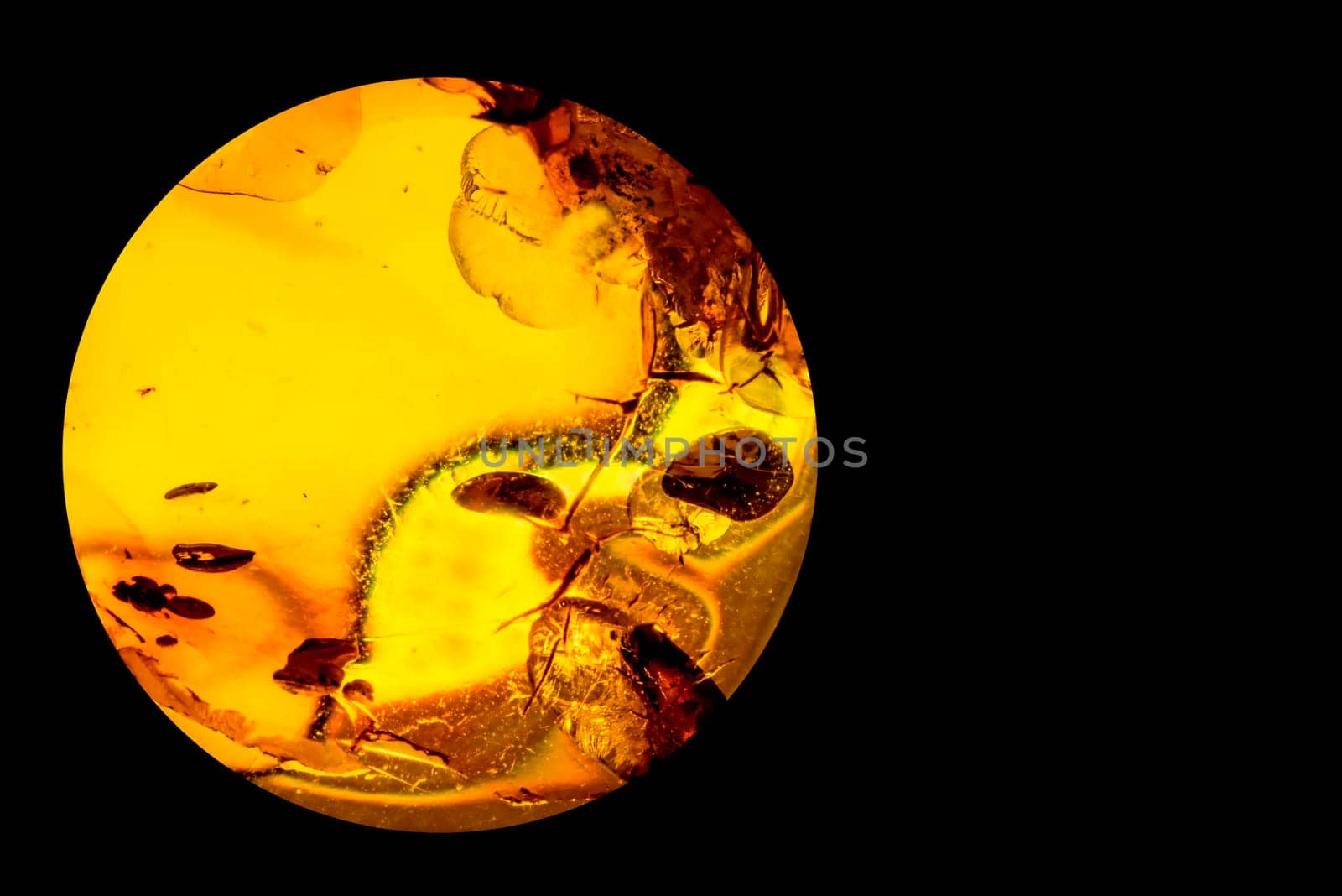 Amber with inclusions.