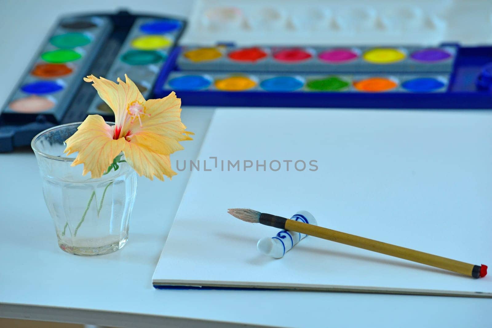 Hobby Watercolor painting