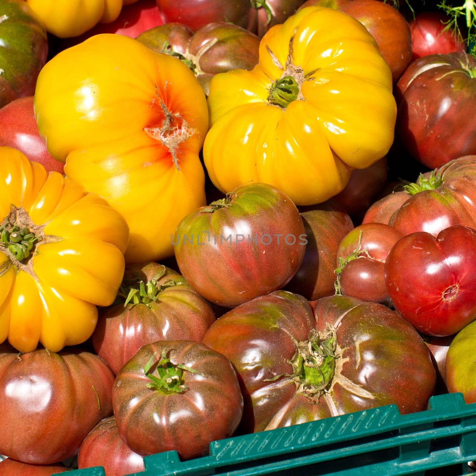 Colorful tomatoes in green box