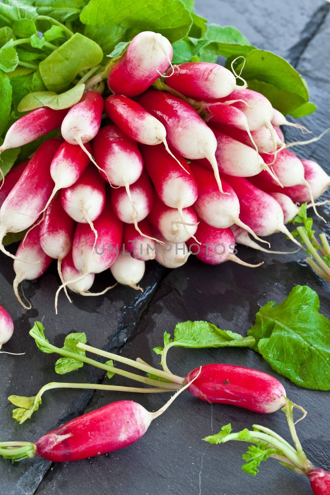 Fresh radishes in Buendel on slate slab