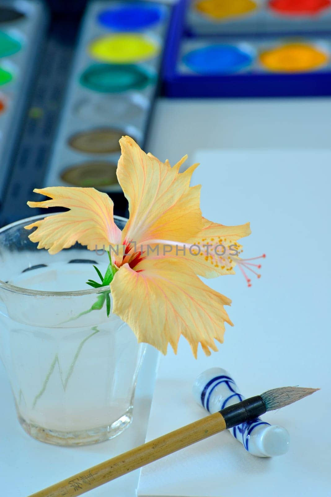 Hobby Watercolor painting
