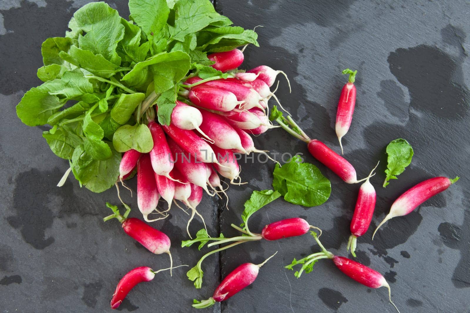 Fresh radishes in Buendel on slate slab
