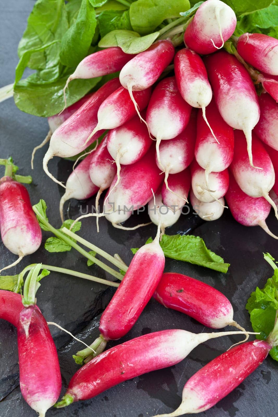 Fresh radishes in Buendel on slate slab